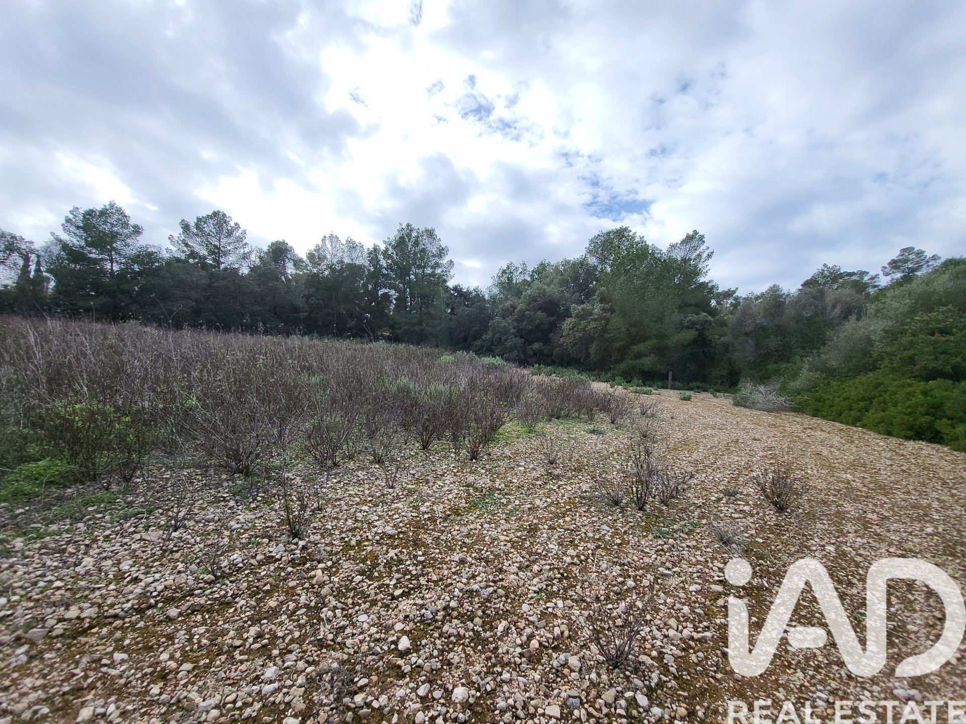 Parcela en Sant Joan, Mallorca, España 11259 m2 No. 185233