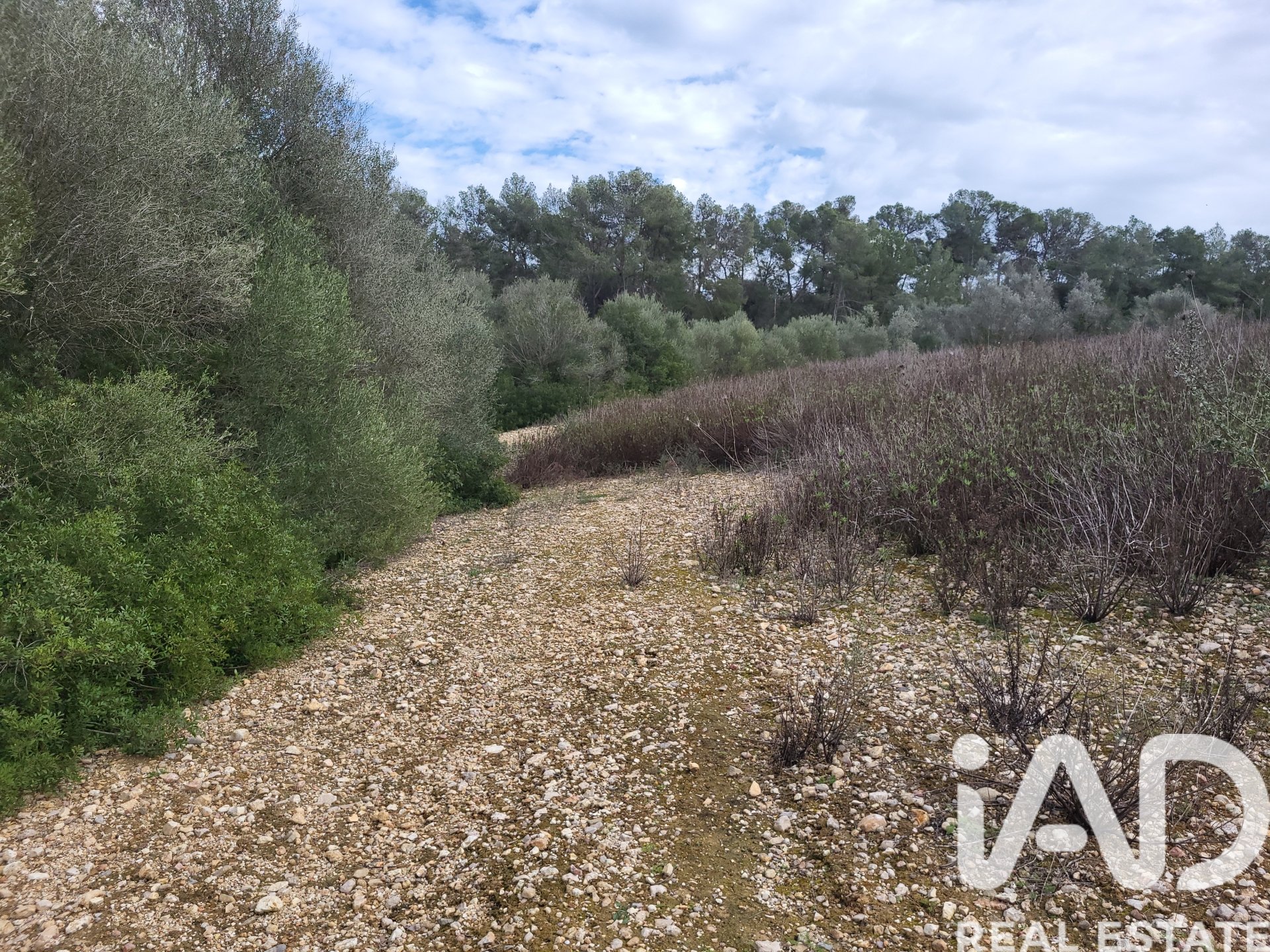 Parcela en Sant Joan, Mallorca, España 11259 m2 No. 185233