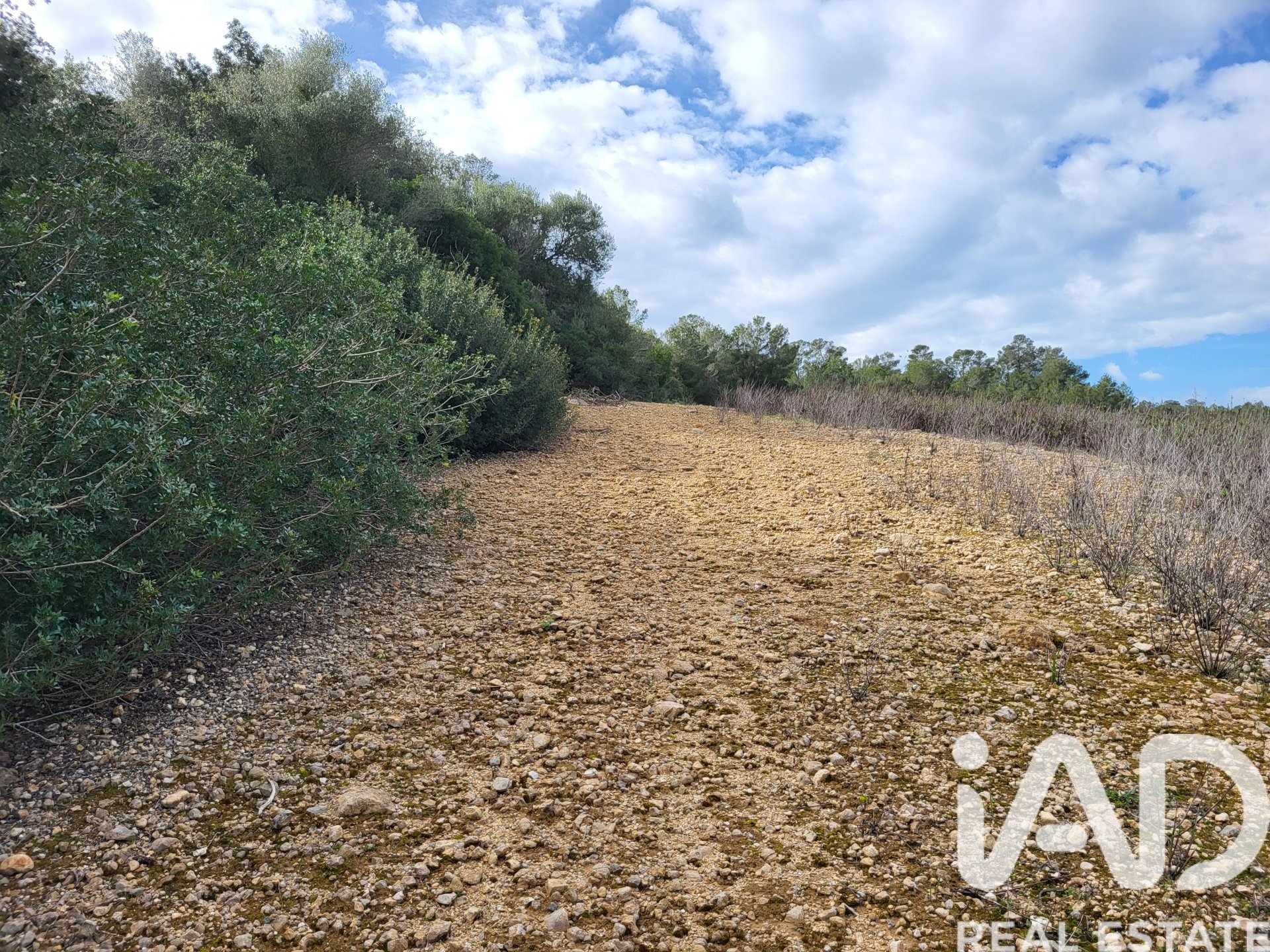 Parcela en Sant Joan, Mallorca, España 11259 m2 No. 185233
