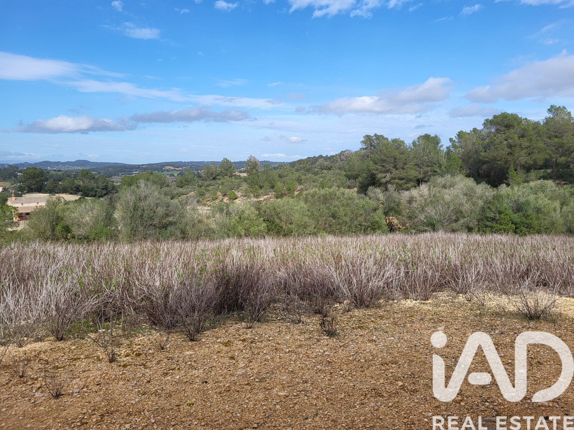 Parcela en Sant Joan, Mallorca, España 11259 m2 No. 185233