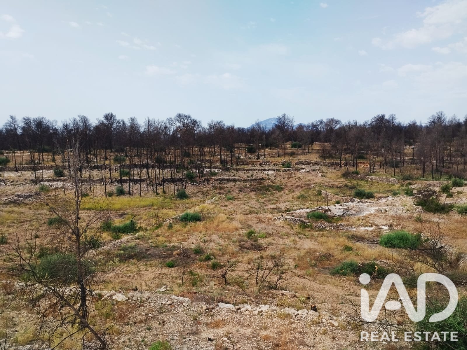 Commercial property in Xerta, Tarragona, Spain No. 187619