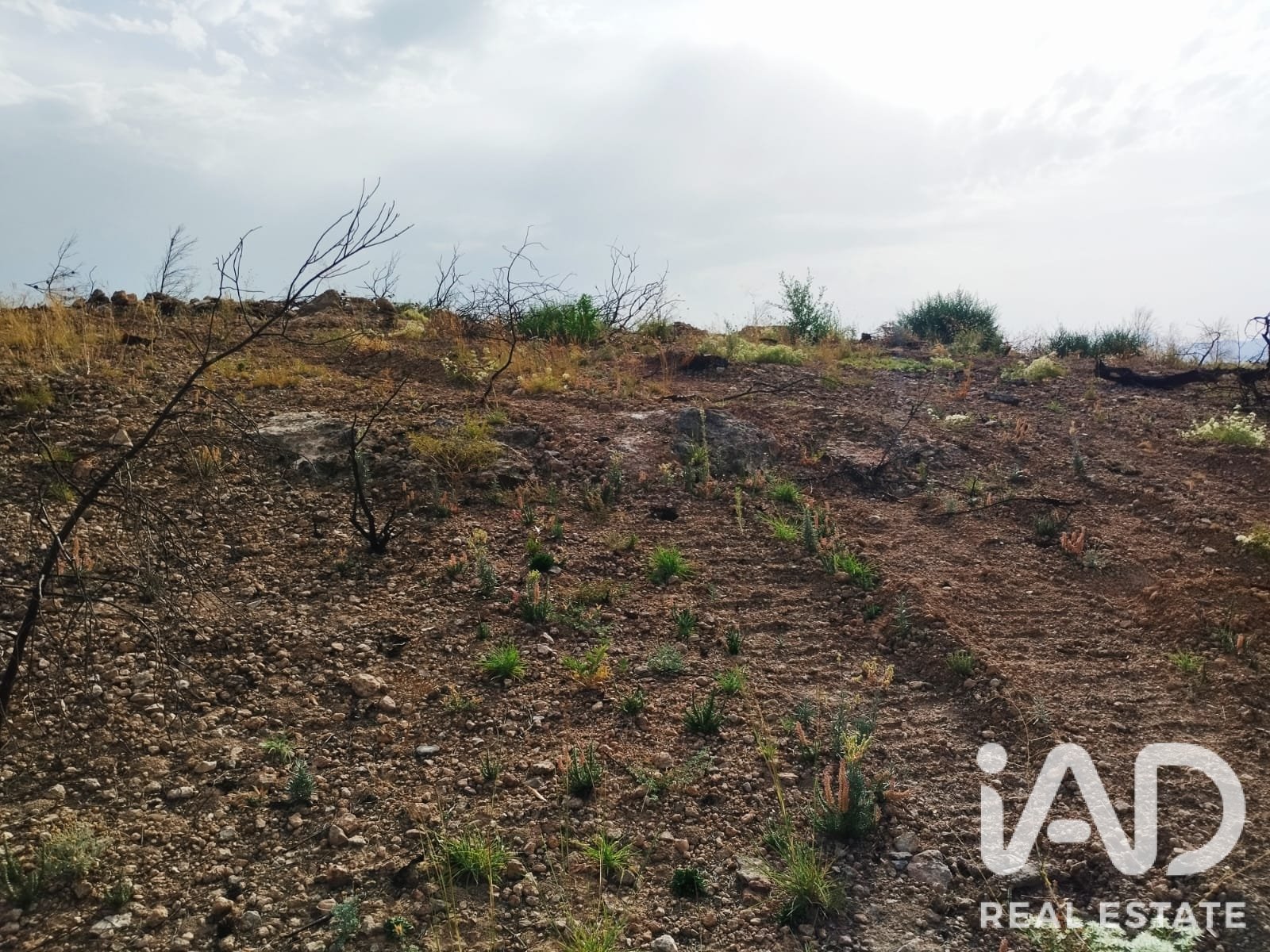 Commercial property in Xerta, Tarragona, Spain No. 187619
