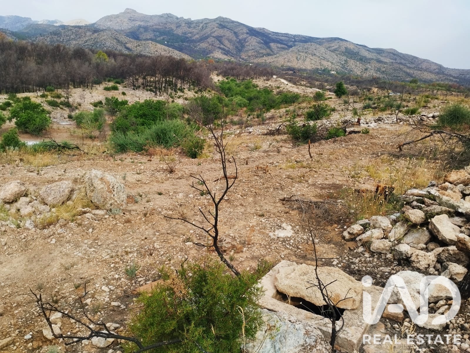 Commercial property in Xerta, Tarragona, Spain No. 187619