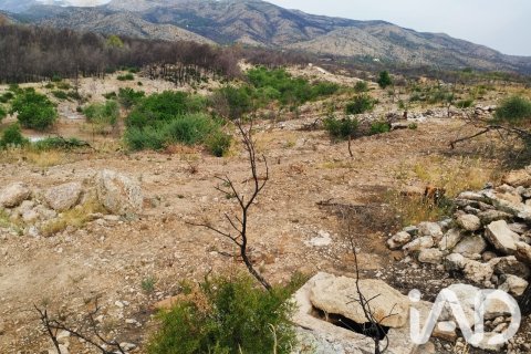 Commercial property in Xerta, Tarragona, Spain No. 187619