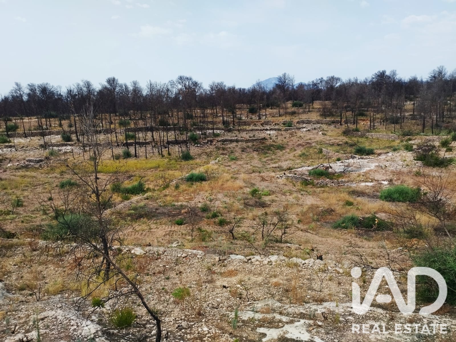 Commercial property in Xerta, Tarragona, Spain No. 187619