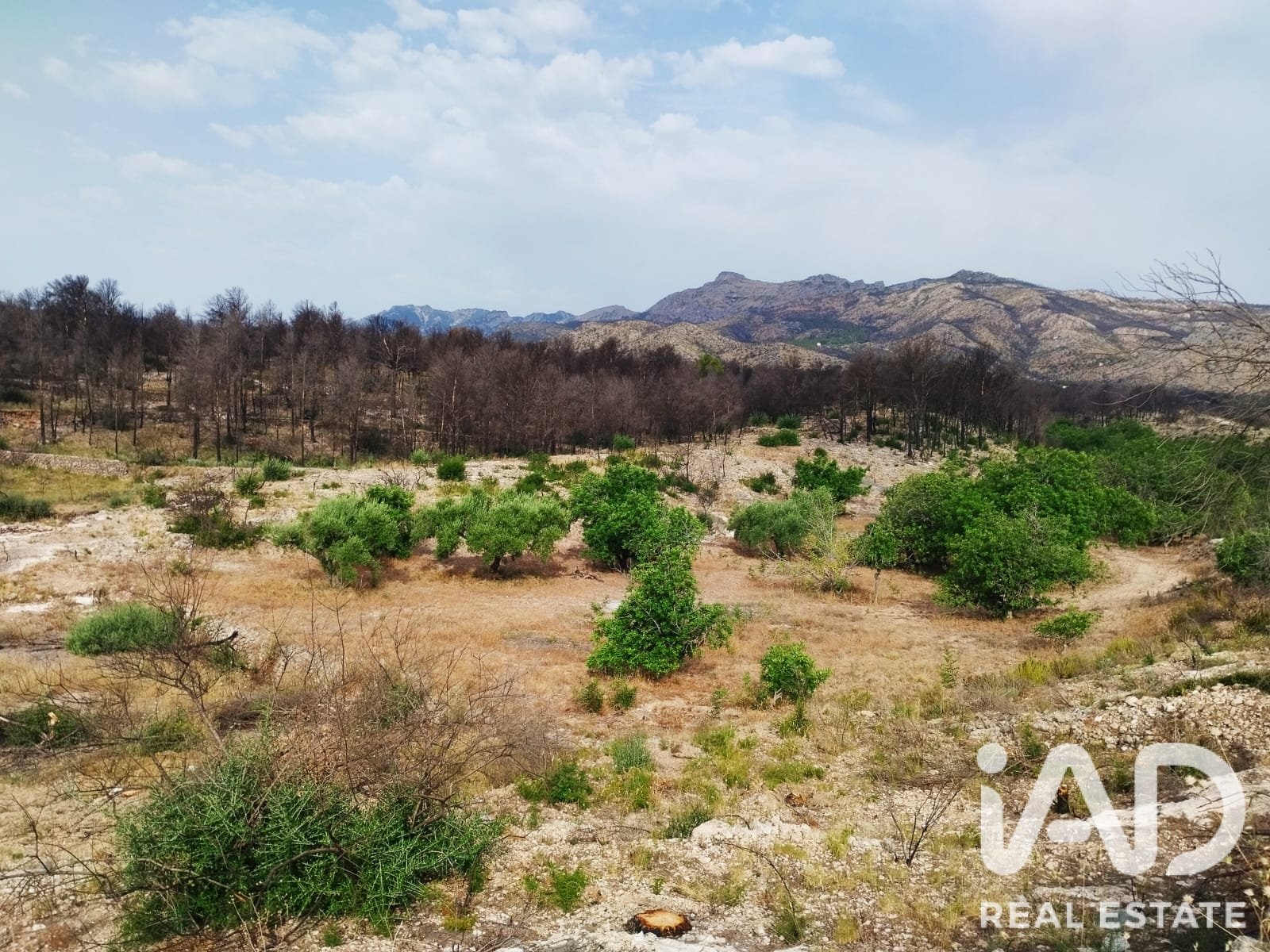 Commercial property in Xerta, Tarragona, Spain No. 187619