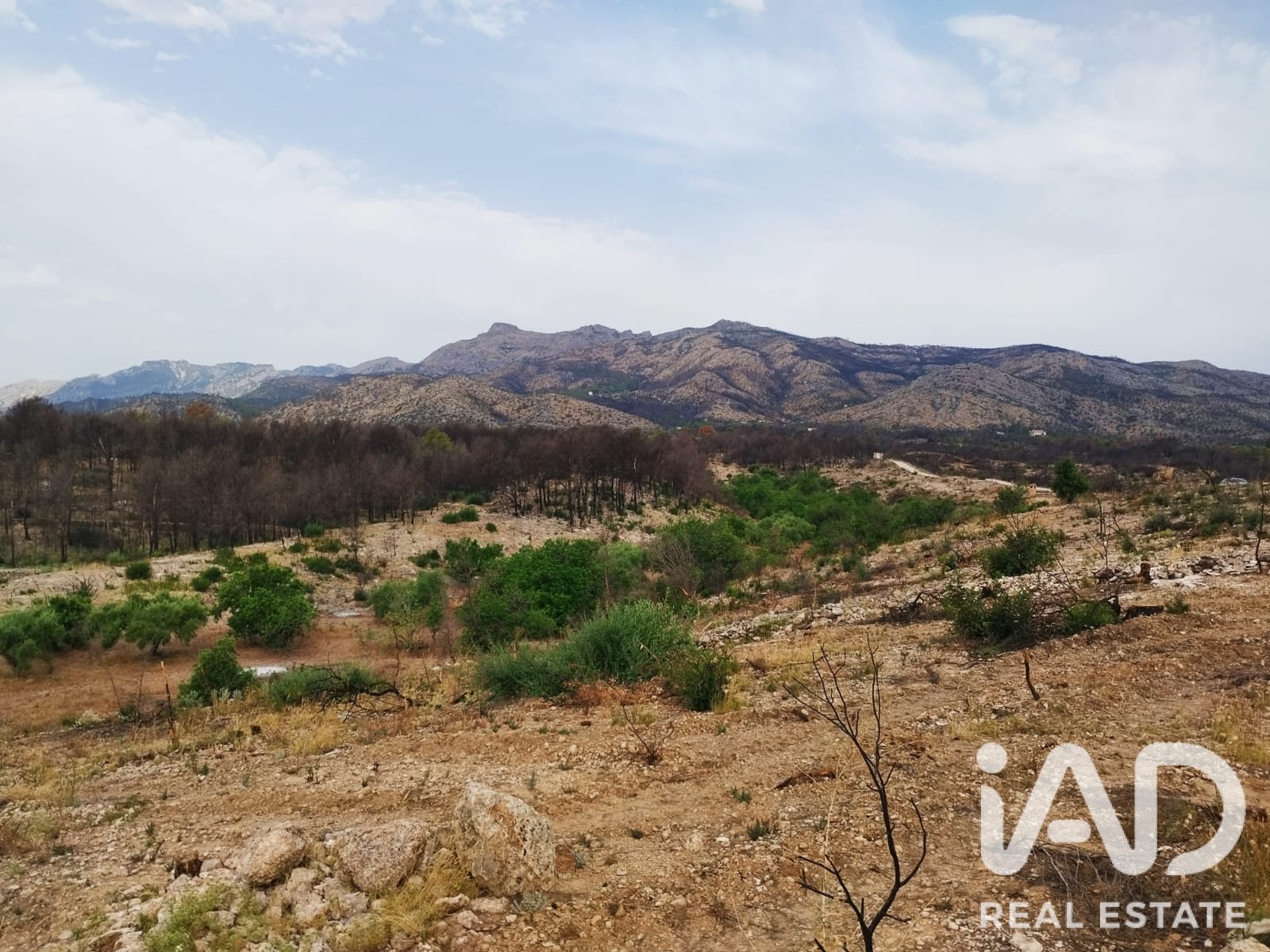 Commercial property in Xerta, Tarragona, Spain No. 187619
