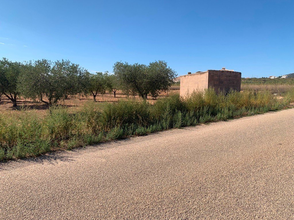 Villa i Pinoso, Alicante, Spanien 4 sovrum, 210 kvm. Nr. 114364