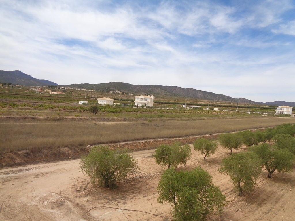 Villa i Pinoso, Alicante, Spanien 4 sovrum, 210 kvm. Nr. 114364