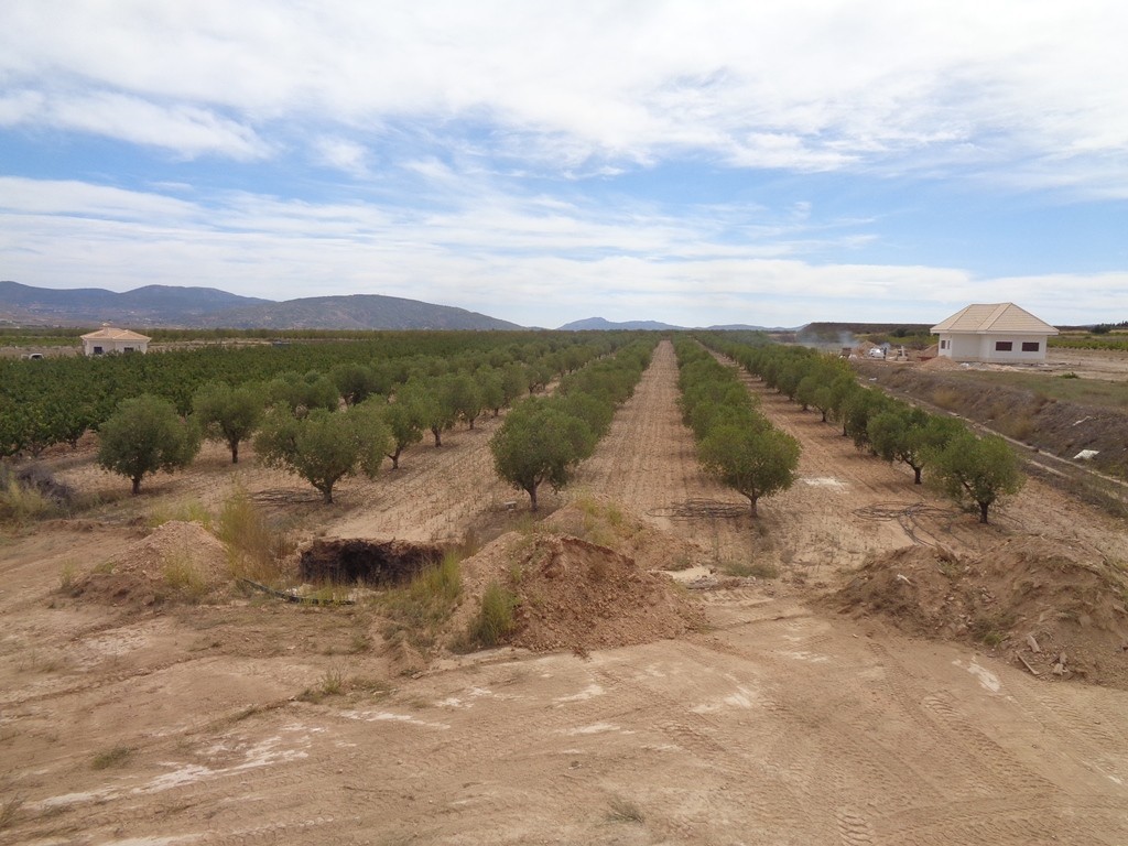 Villa i Pinoso, Alicante, Spanien 4 sovrum, 210 kvm. Nr. 114364