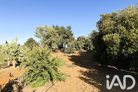 Land plot à Chiclana de la Frontera, Cadiz, Espagne 3928 m2 No. 193476