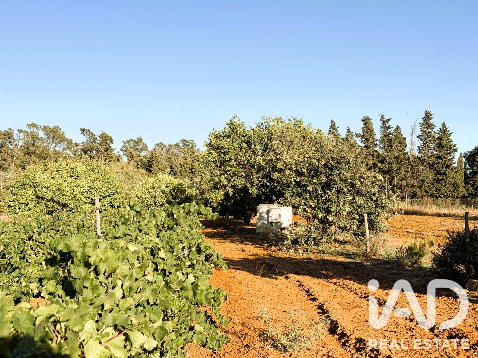 Zemes gabals Chiclana de la Frontera, Cadiz, Spānijā 3928 m2 Nr. 193476