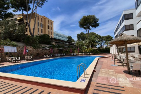Apartment in Santa Ponsa, Mallorca, Spain 1 bedroom, 30 sq.m. No. 193659