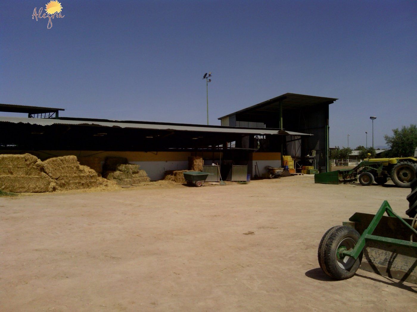 Commercial property in Elche, Alicante, Spain 3 bedrooms, 705 sq.m. No. 164990