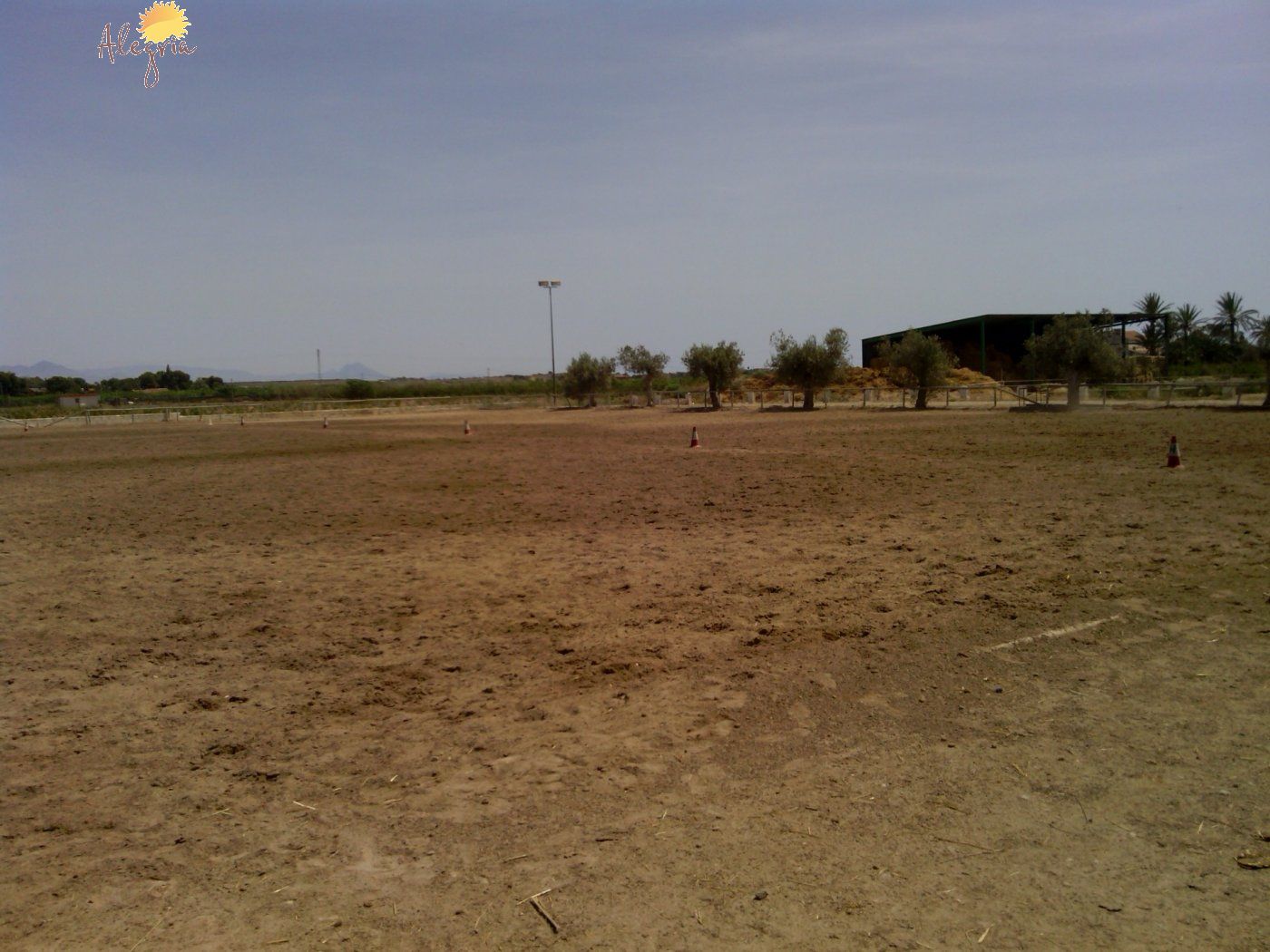 Commercial property in Elche, Alicante, Spain 3 bedrooms, 705 sq.m. No. 164990