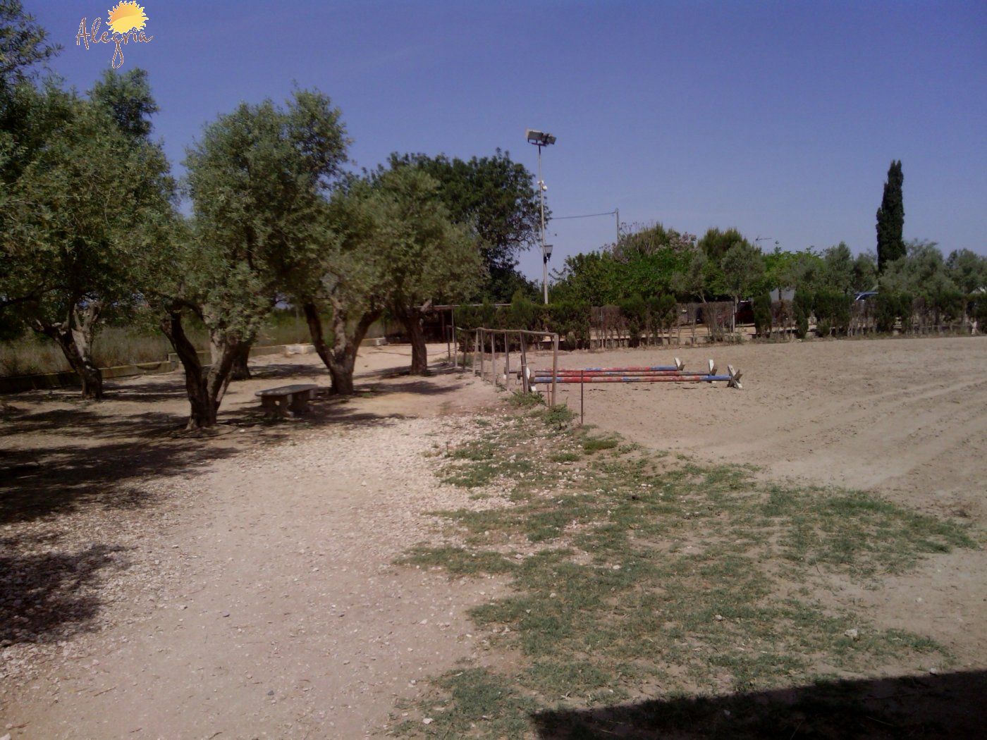 Commercial property in Elche, Alicante, Spain 3 bedrooms, 705 sq.m. No. 164990