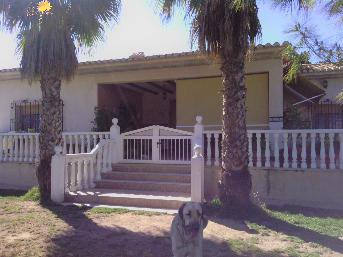 Commercial property in Elche, Alicante, Spain 3 bedrooms, 705 sq.m. No. 164990