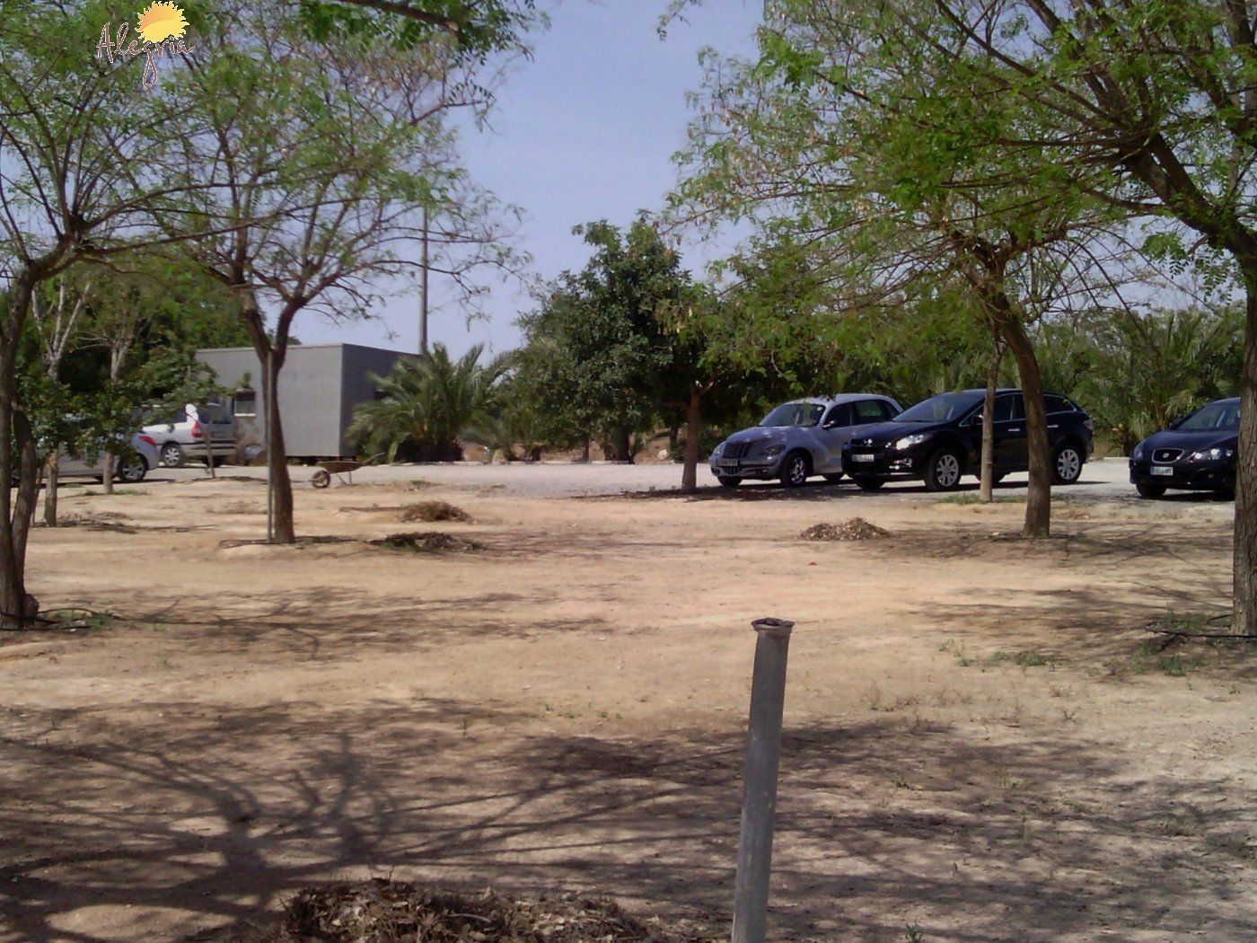 Commercial property in Elche, Alicante, Spain 3 bedrooms, 705 sq.m. No. 164990