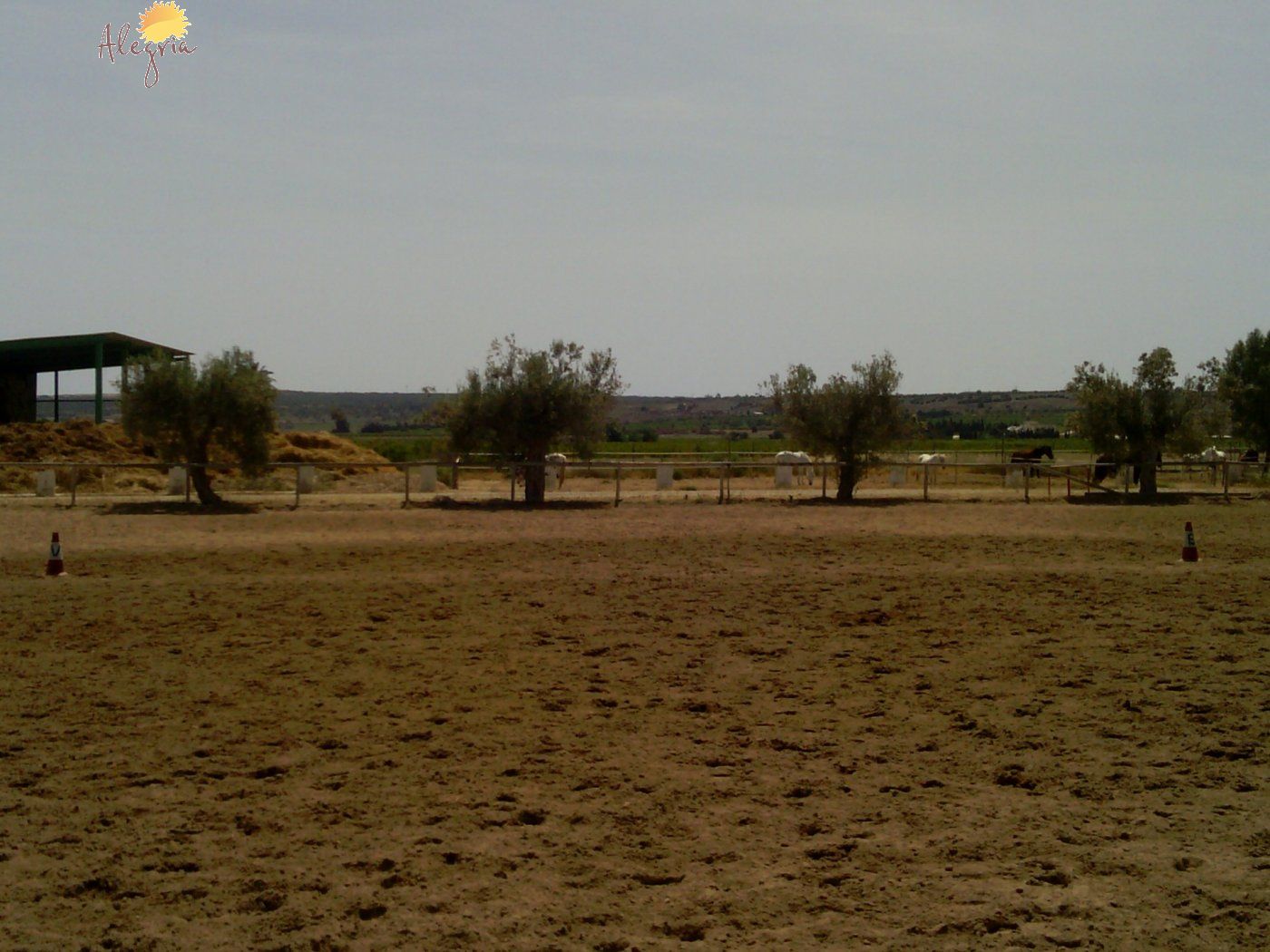 Commercial property in Elche, Alicante, Spain 3 bedrooms, 705 sq.m. No. 164990