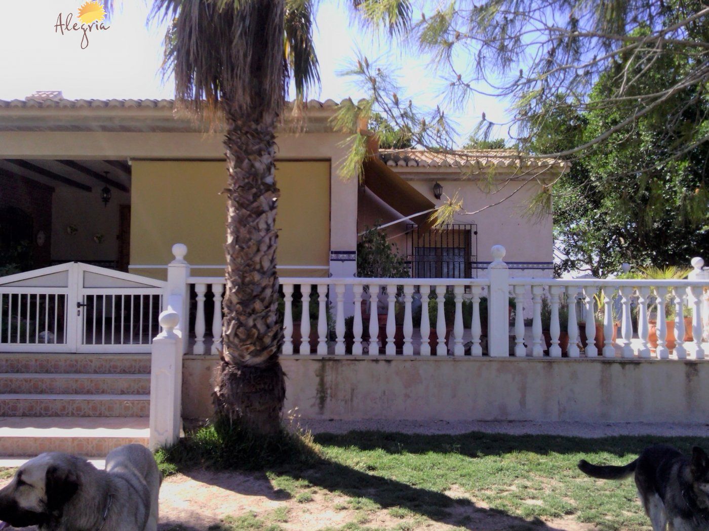 Commercial property in Elche, Alicante, Spain 3 bedrooms, 705 sq.m. No. 164990