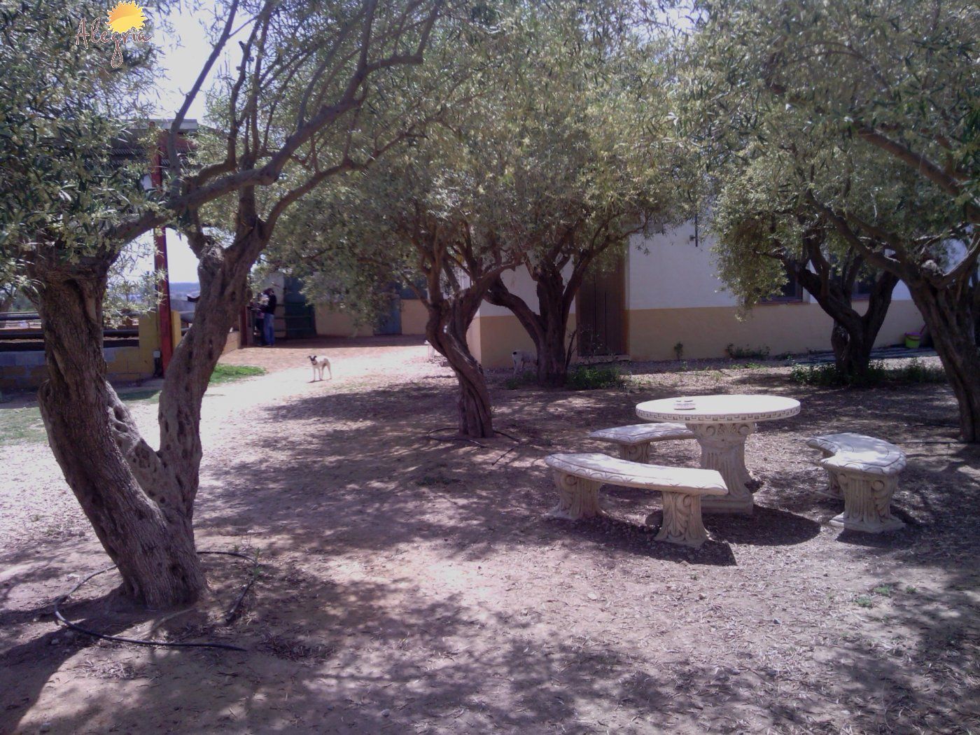 Commercial property in Elche, Alicante, Spain 3 bedrooms, 705 sq.m. No. 164990