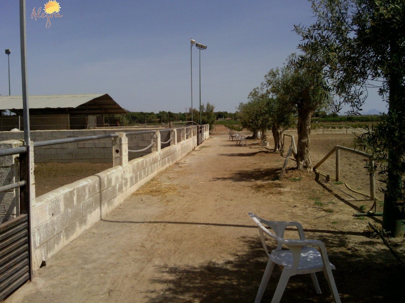 Commercial property in Elche, Alicante, Spain 3 bedrooms, 705 sq.m. No. 164990