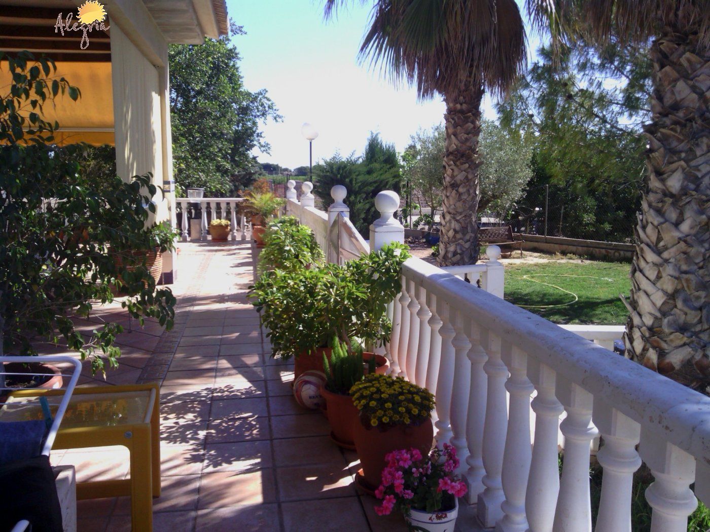 Commercial property in Elche, Alicante, Spain 3 bedrooms, 705 sq.m. No. 164990