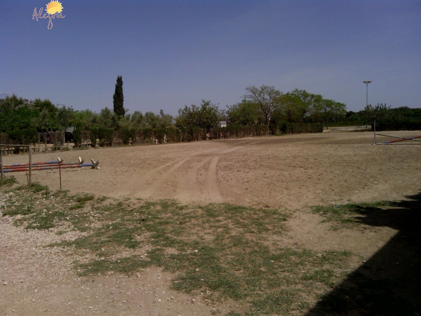 Commercial property in Elche, Alicante, Spain 3 bedrooms, 705 sq.m. No. 164990
