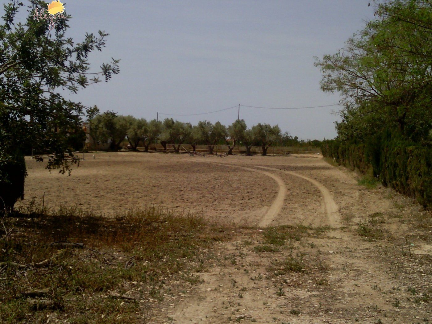 Commercial property in Elche, Alicante, Spain 3 bedrooms, 705 sq.m. No. 164990