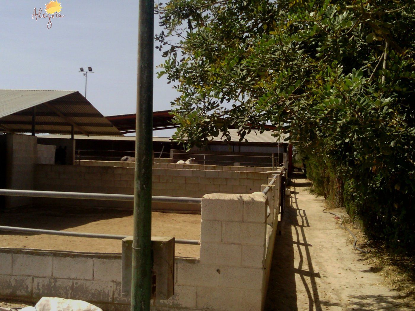 Commercial property in Elche, Alicante, Spain 3 bedrooms, 705 sq.m. No. 164990