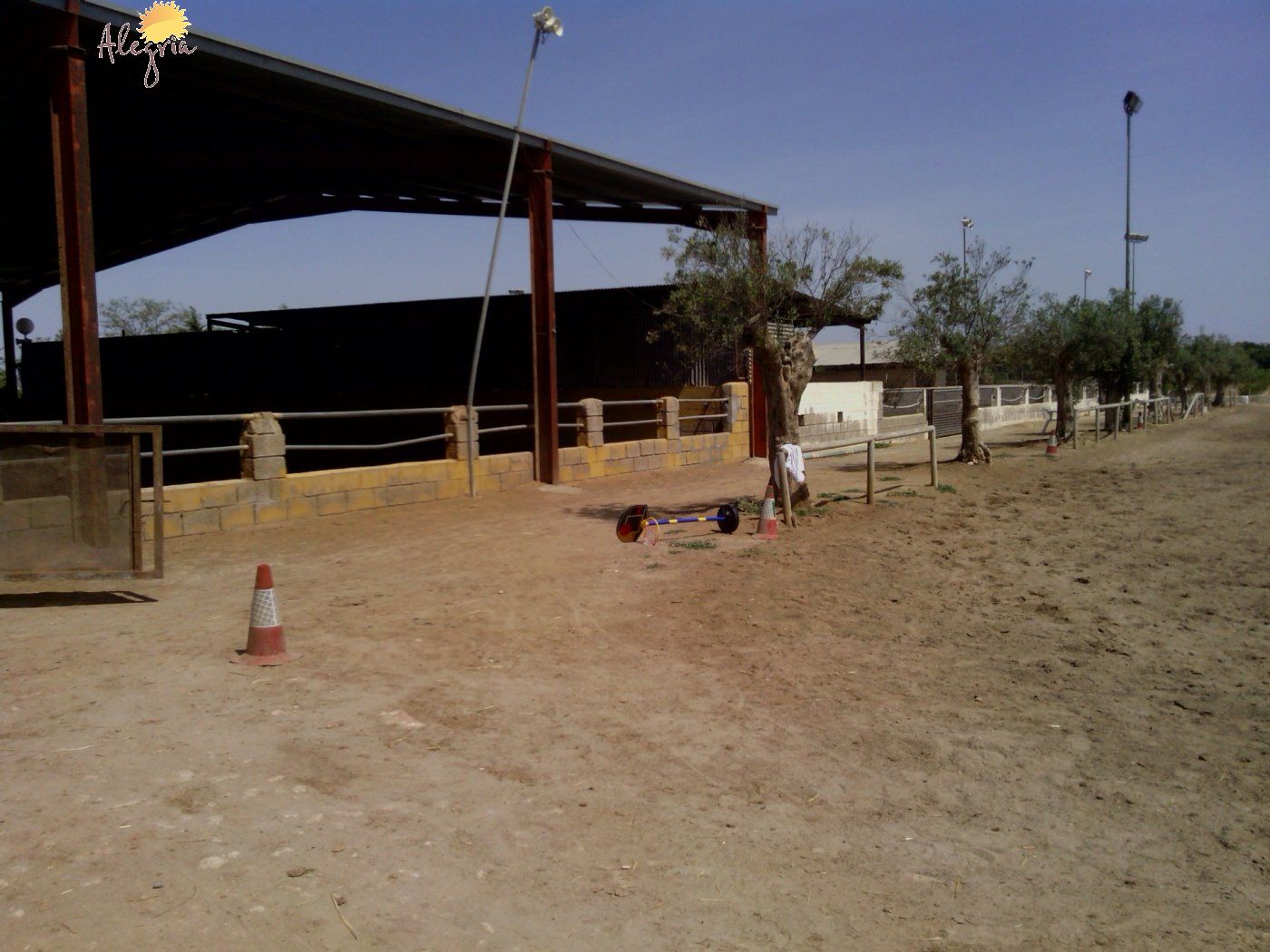 Commercial property in Elche, Alicante, Spain 3 bedrooms, 705 sq.m. No. 164990