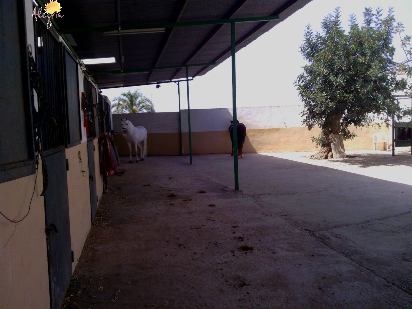 Commercial property in Elche, Alicante, Spain 3 bedrooms, 705 sq.m. No. 164990