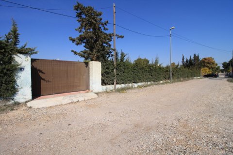 Apartament w Campoamor, Alicante, Hiszpania 2 sypialnie, 200 mkw. nr 164991