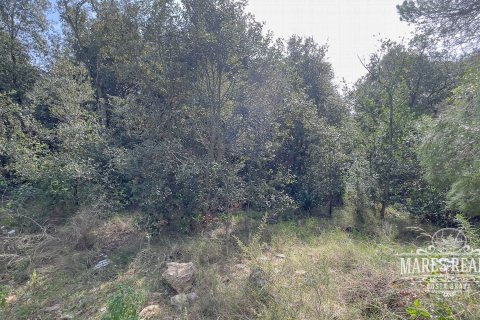 Terreno a Lloret de Mar, Girona, Spagna 1450 mq. N° 94142