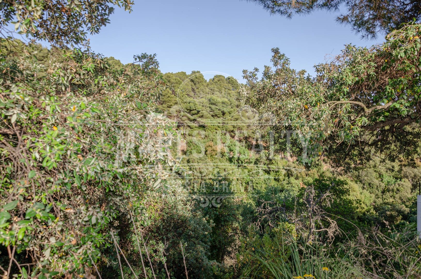 Land plot à Tossa de Mar, Girona, Espagne 456 m2 No. 94144