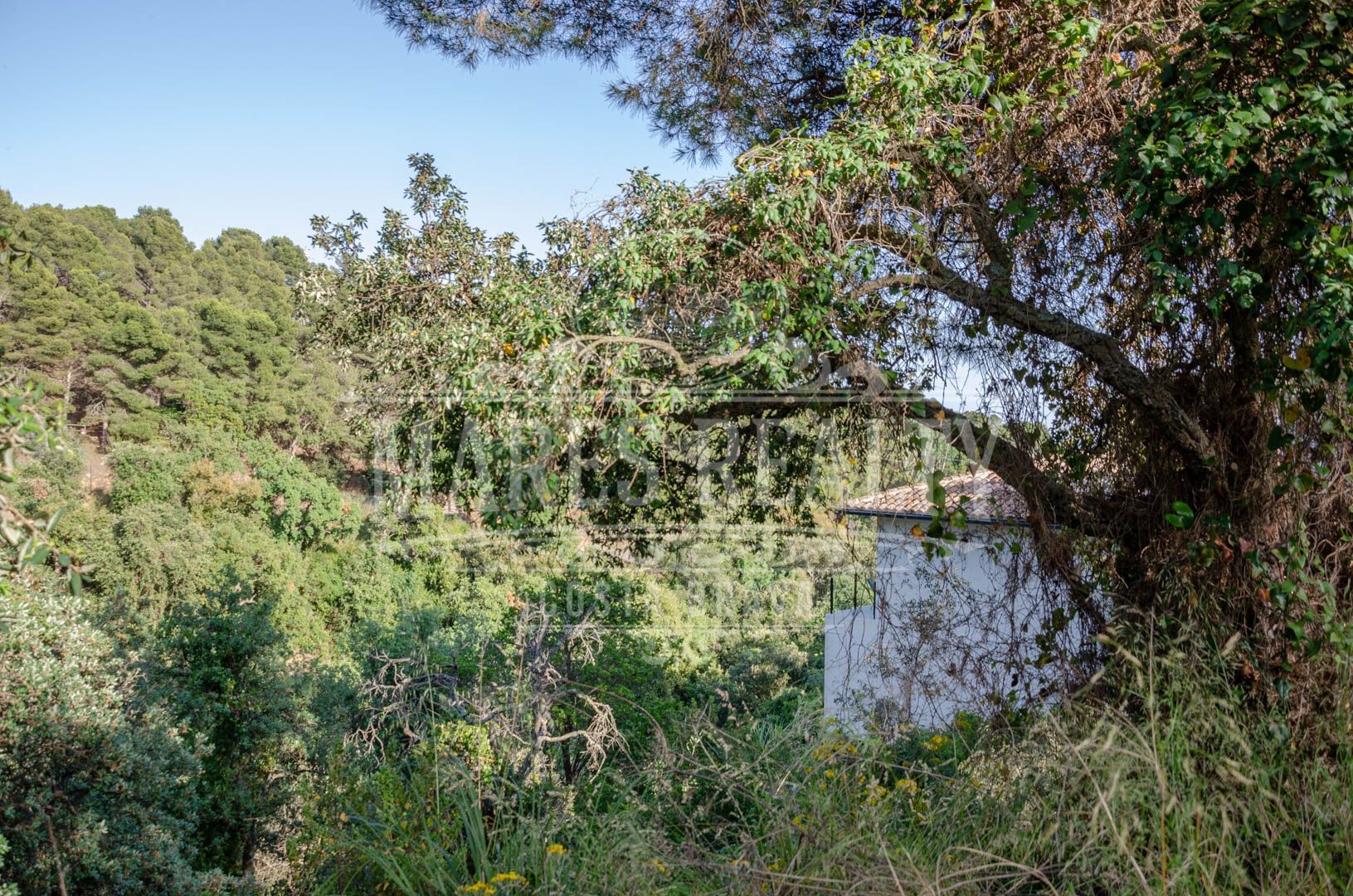 Land plot à Tossa de Mar, Girona, Espagne 456 m2 No. 94144