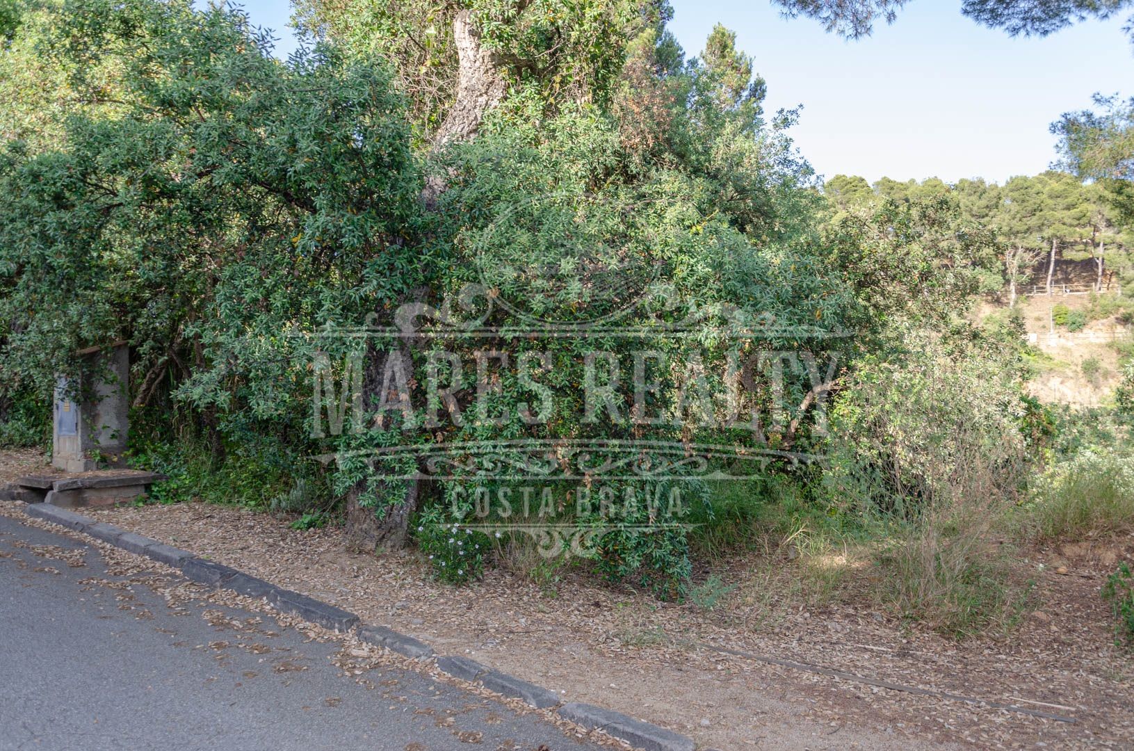 Land plot à Tossa de Mar, Girona, Espagne 456 m2 No. 94144