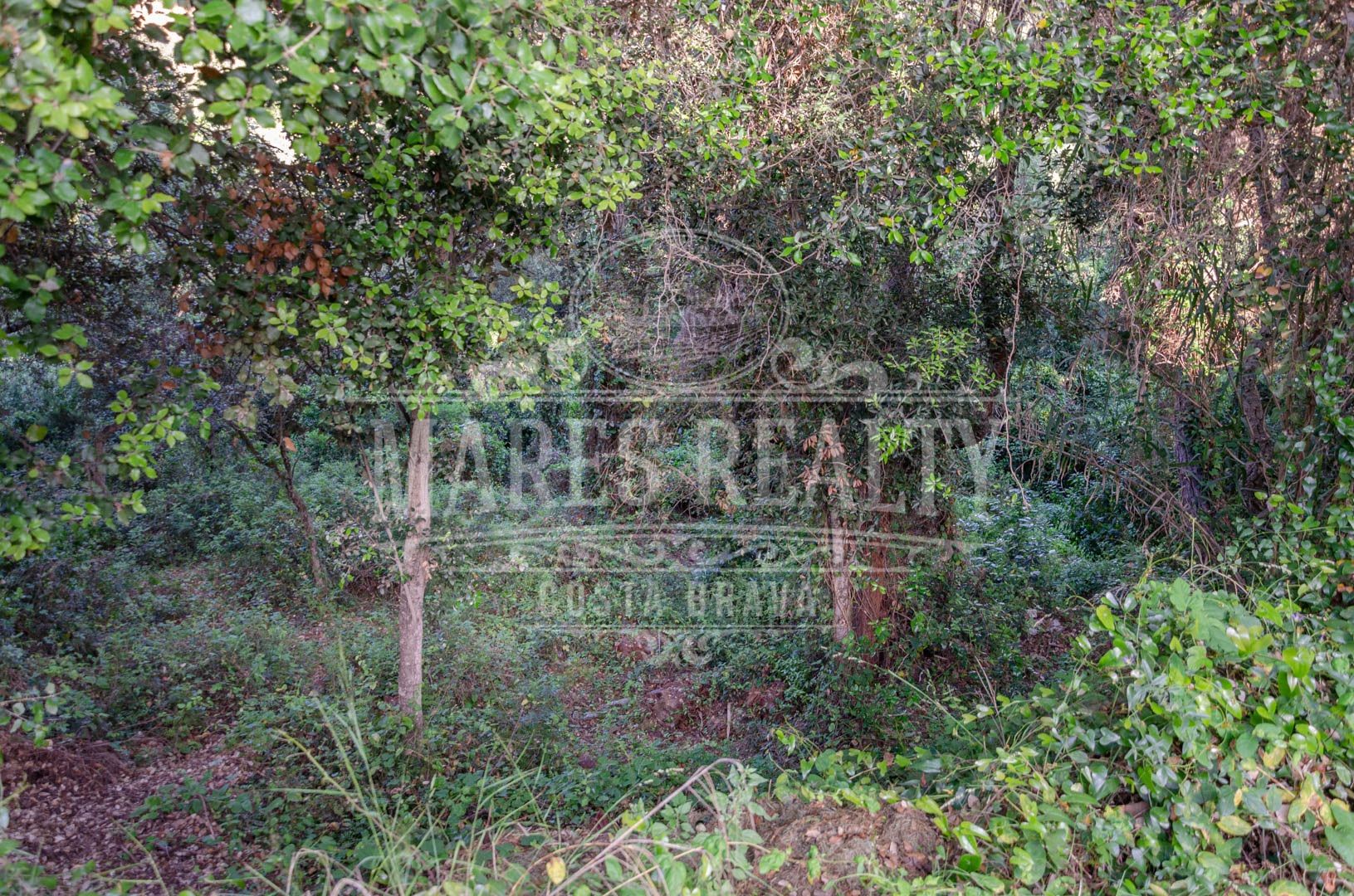 Land plot à Tossa de Mar, Girona, Espagne 456 m2 No. 94144
