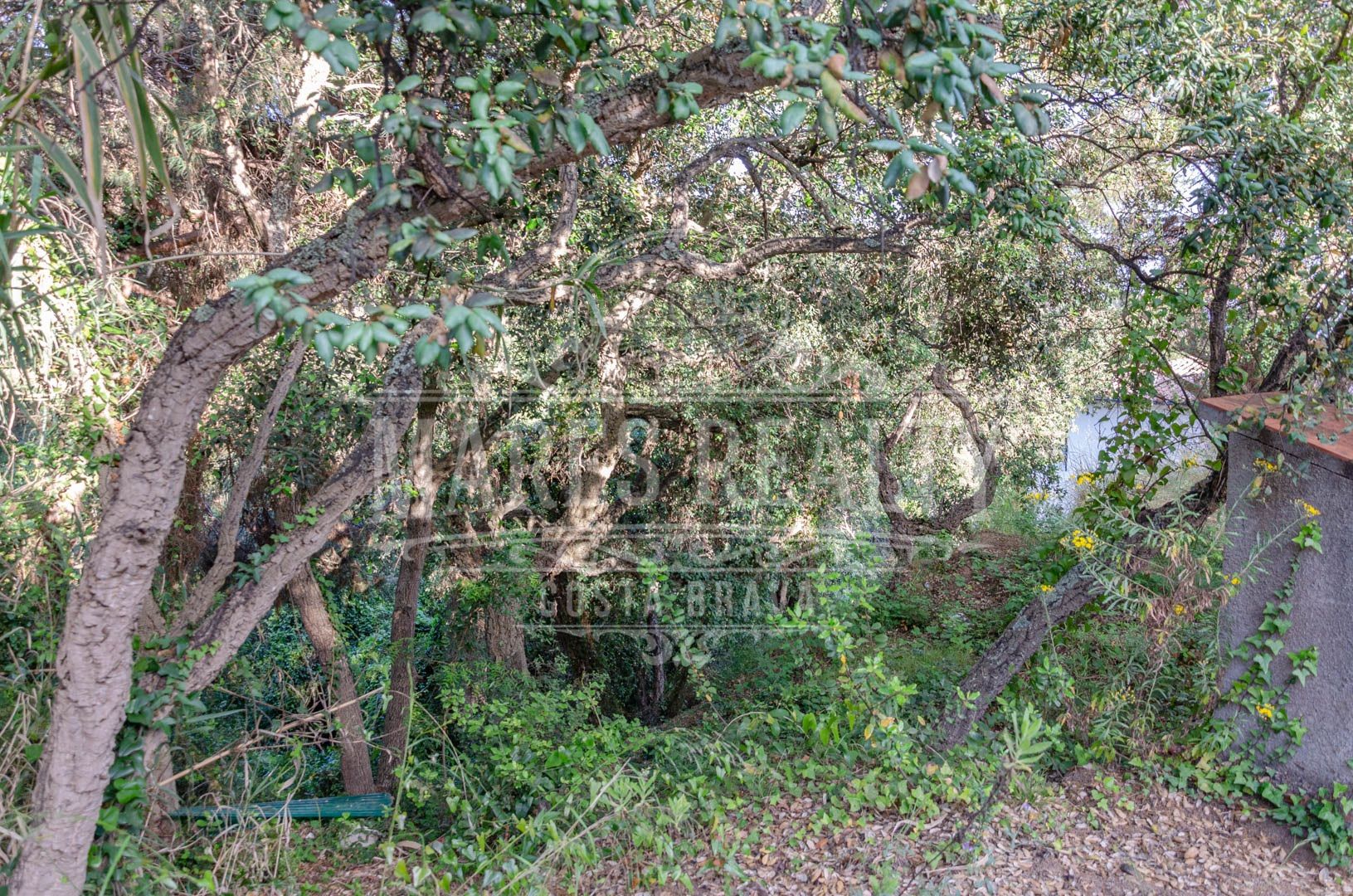 Land plot à Tossa de Mar, Girona, Espagne 456 m2 No. 94144