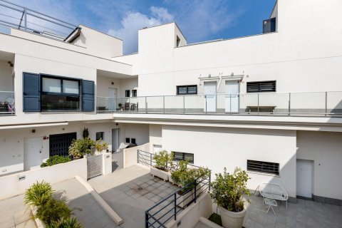 Apartment in La Mata, Alicante, Spain 56 sq.m. No. 168766