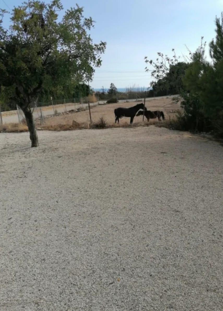 Hus i Villajoyosa, Alicante, Spanien 4 sovrum, 241 kvm. Nr. 165673