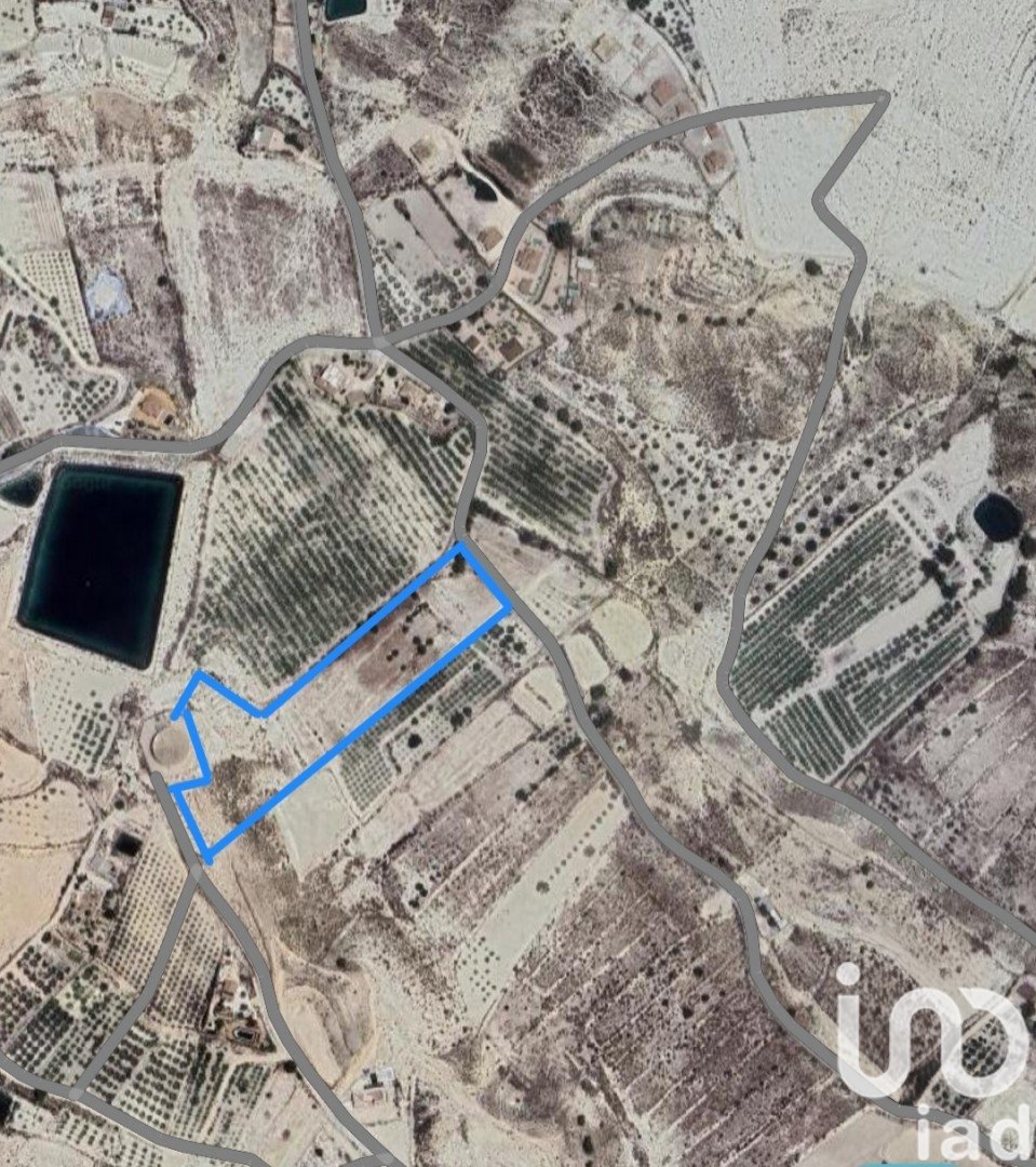 Terreno a Fortuna, Murcia, Spagna 12025 mq. N° 185966