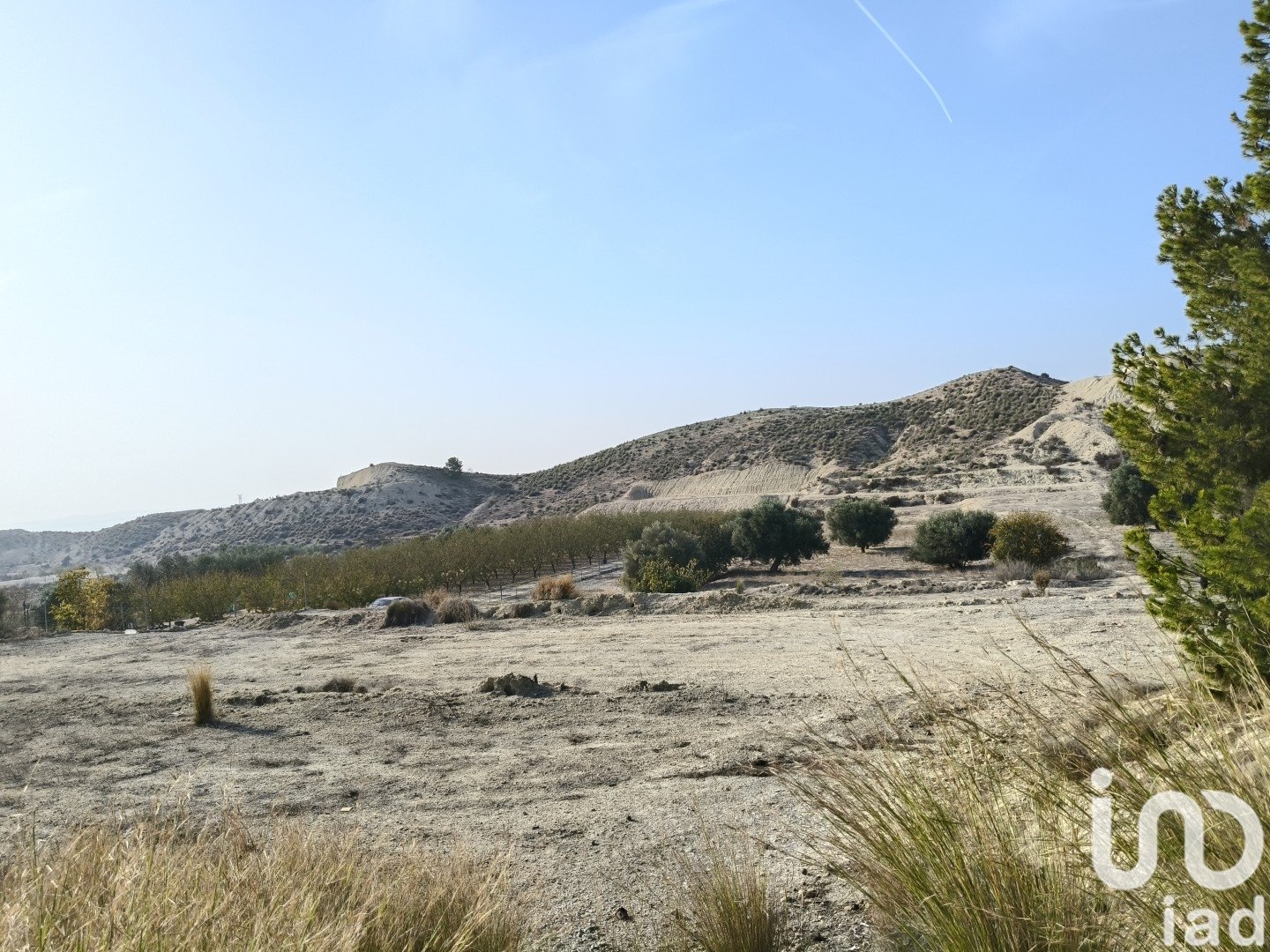 Terreno a Fortuna, Murcia, Spagna 12025 mq. N° 185966