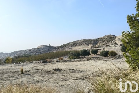 Terreno a Fortuna, Murcia, Spagna 12025 mq. N° 185966