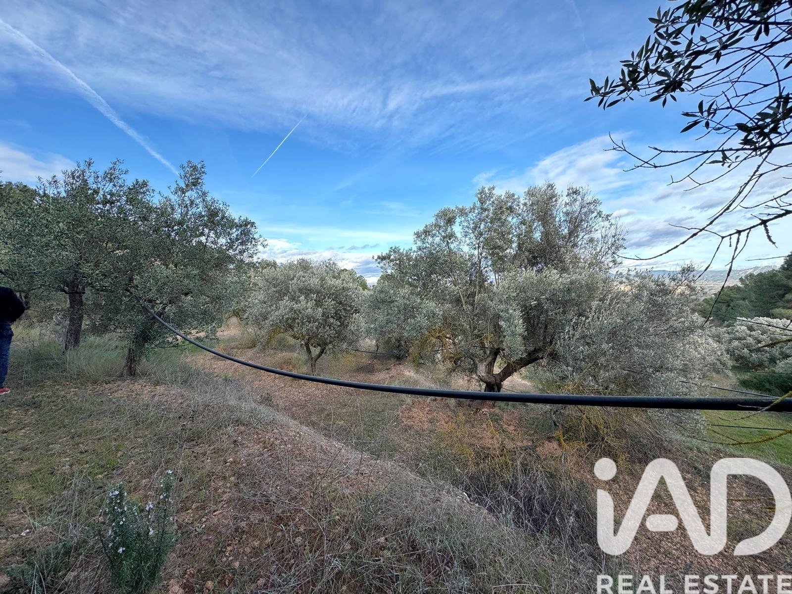 Zemes gabals Asco, Tarragona, Spānijā 27876 m2 Nr. 185042