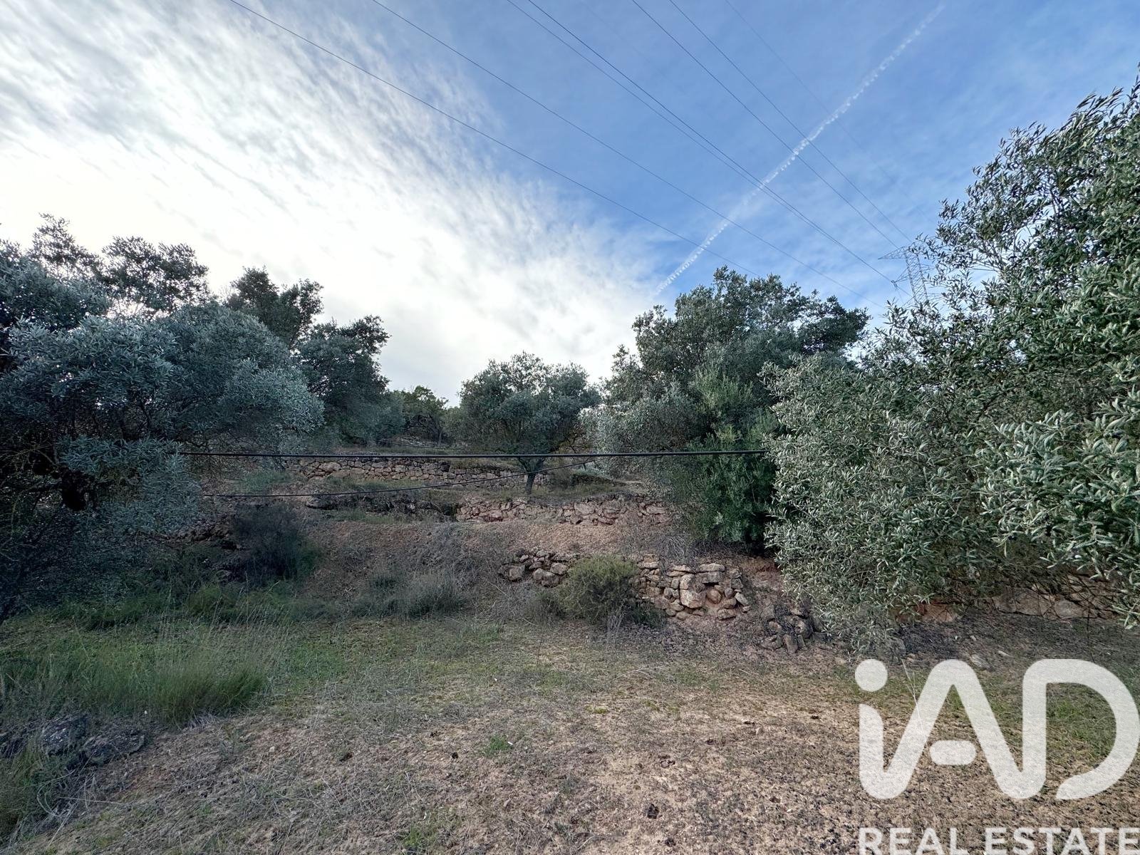 Zemes gabals Asco, Tarragona, Spānijā 27876 m2 Nr. 185042