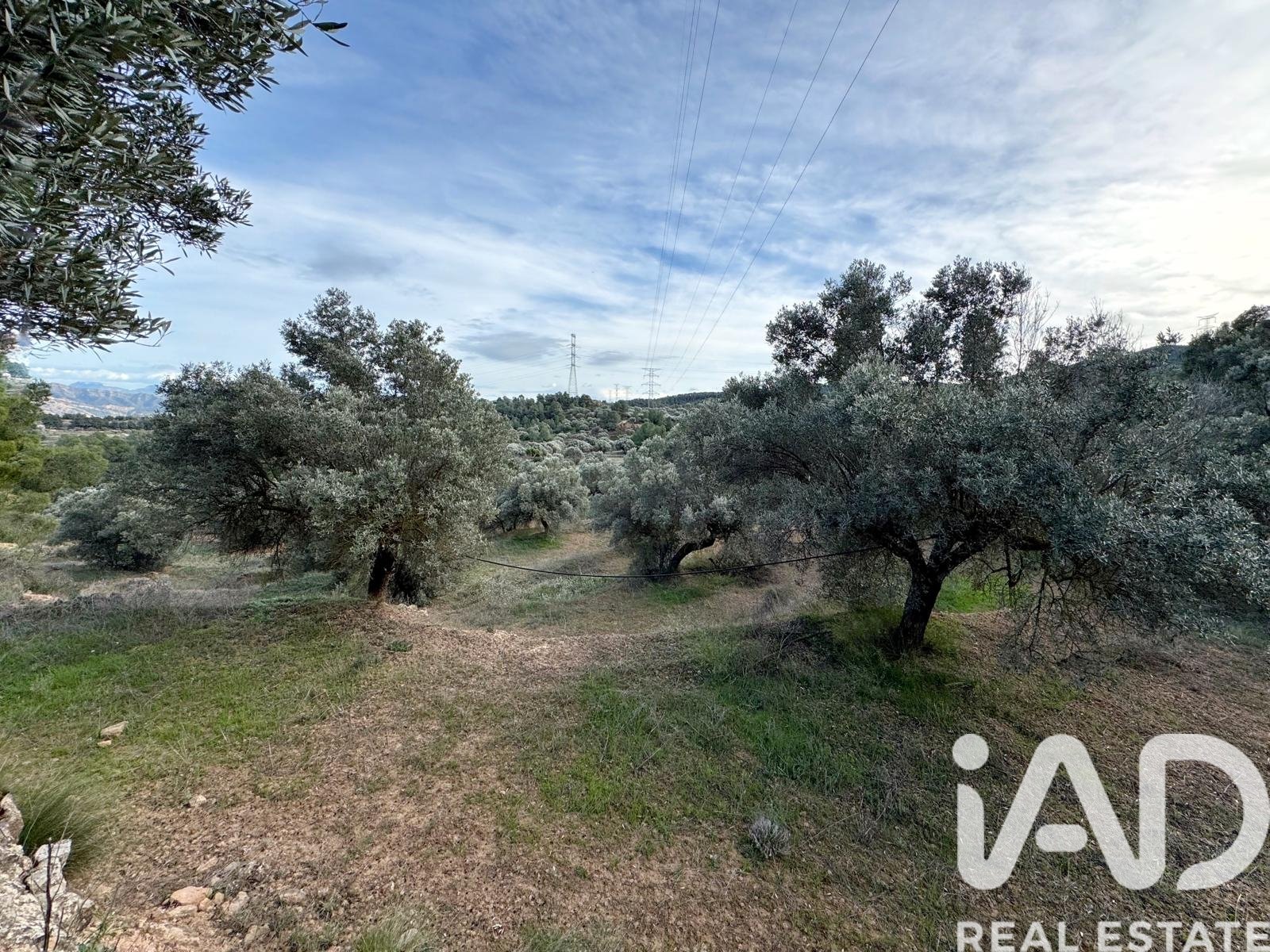 Zemes gabals Asco, Tarragona, Spānijā 27876 m2 Nr. 185042