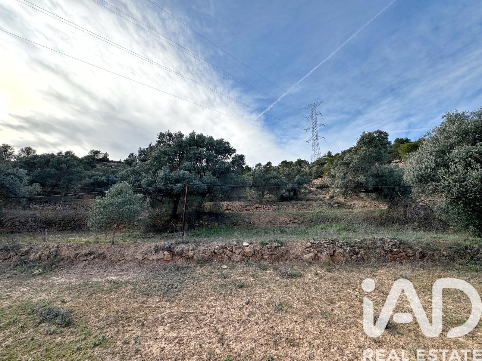 Zemes gabals Asco, Tarragona, Spānijā 27876 m2 Nr. 185042