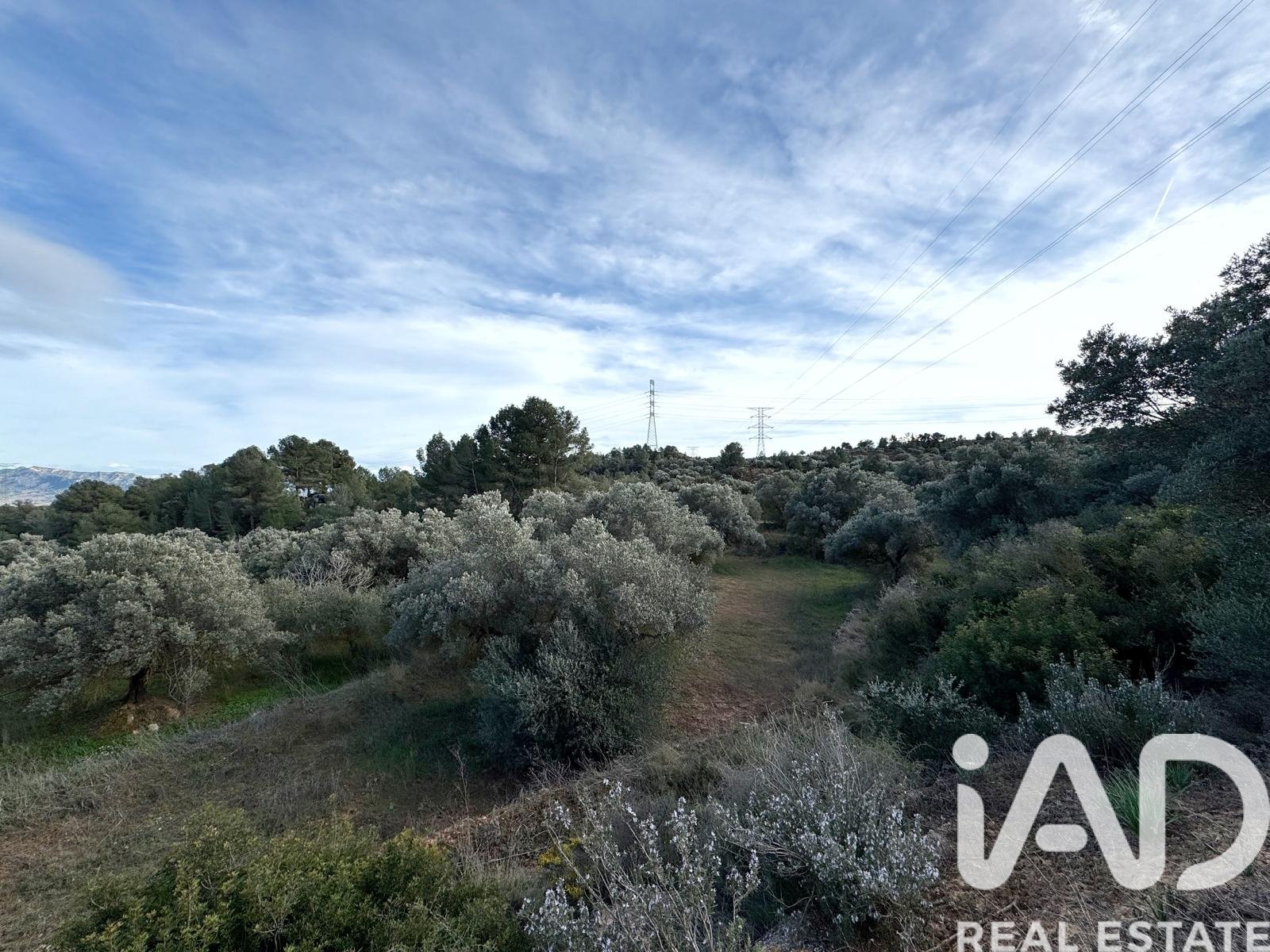 Zemes gabals Asco, Tarragona, Spānijā 27876 m2 Nr. 185042