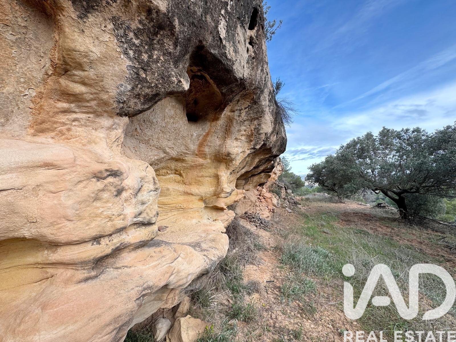 Zemes gabals Asco, Tarragona, Spānijā 27876 m2 Nr. 185042